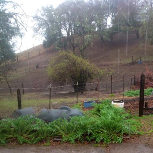 It's Raining, It's Pouring, Hurrah, Hurrah